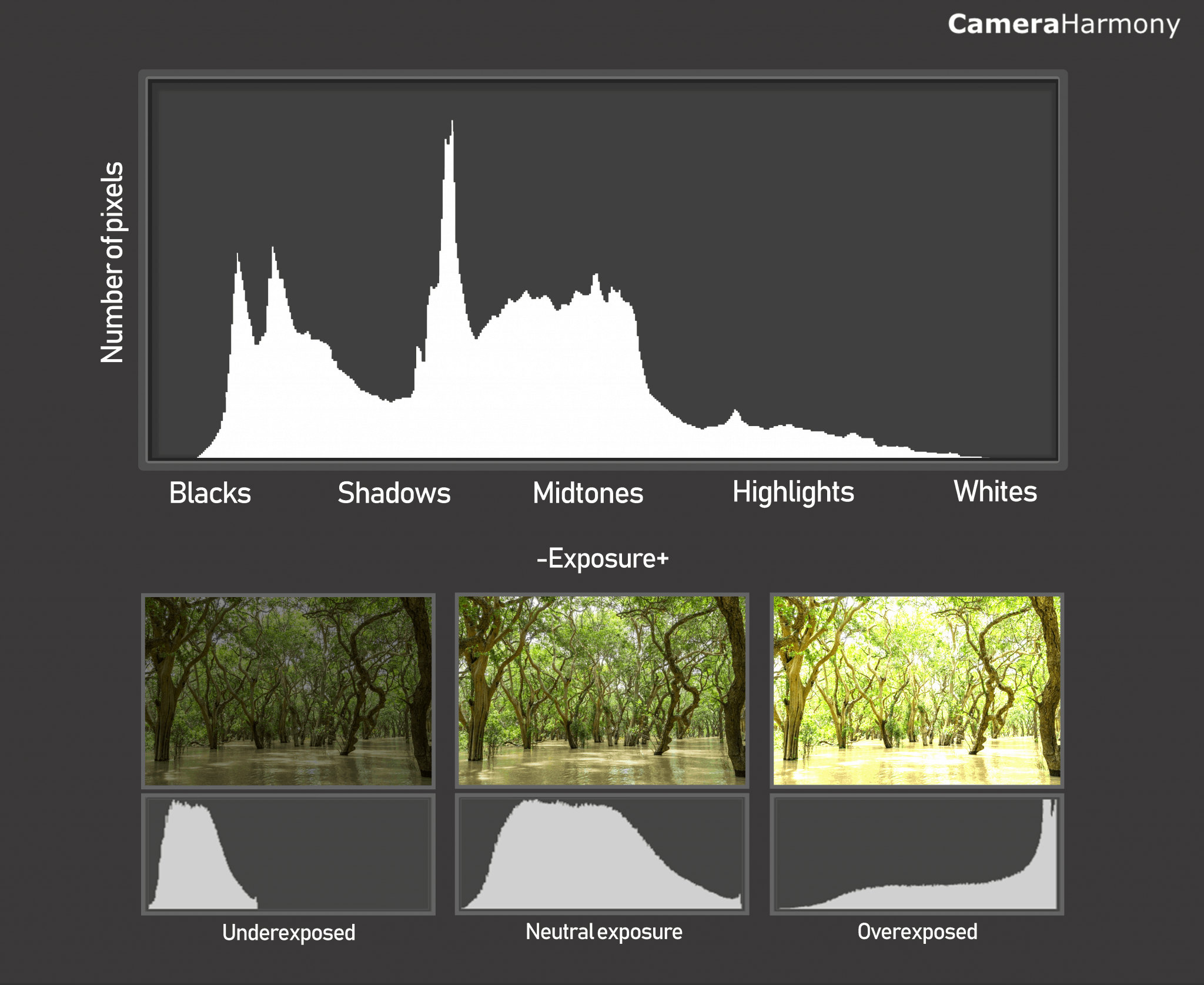 how-to-use-histograms-to-improve-your-photography-camera-harmony