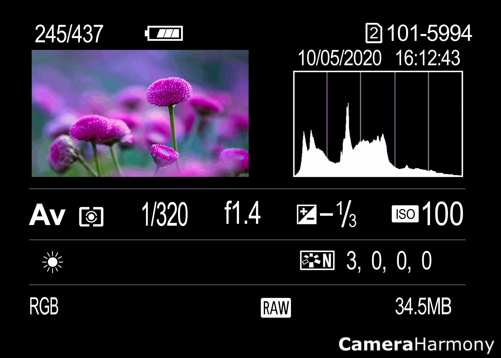 How to Read and Use Histograms? – Camera Harmony