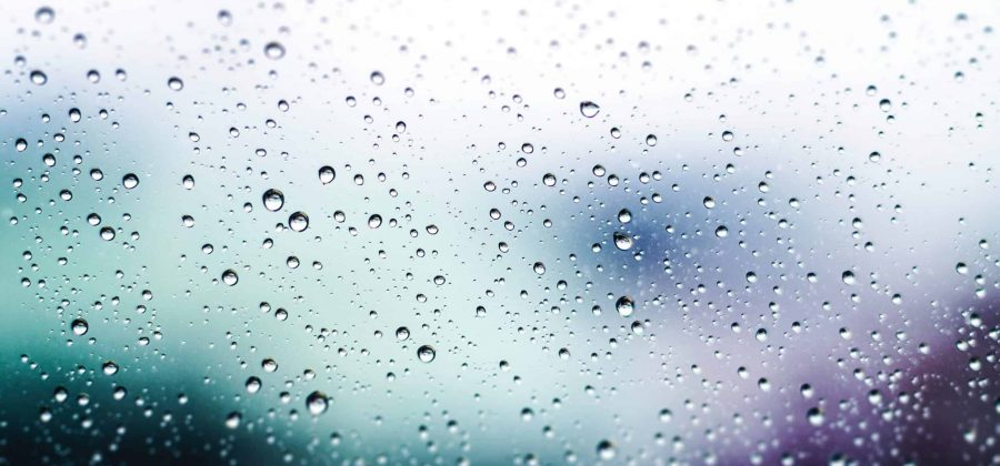 how-to-photograph-raindrops-camera-harmony